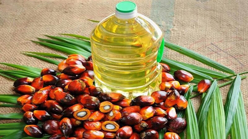 Date palm oil2