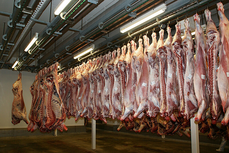Livestock slaughterhouse