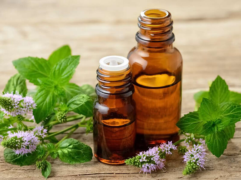 Essential oils of medicinal plants
