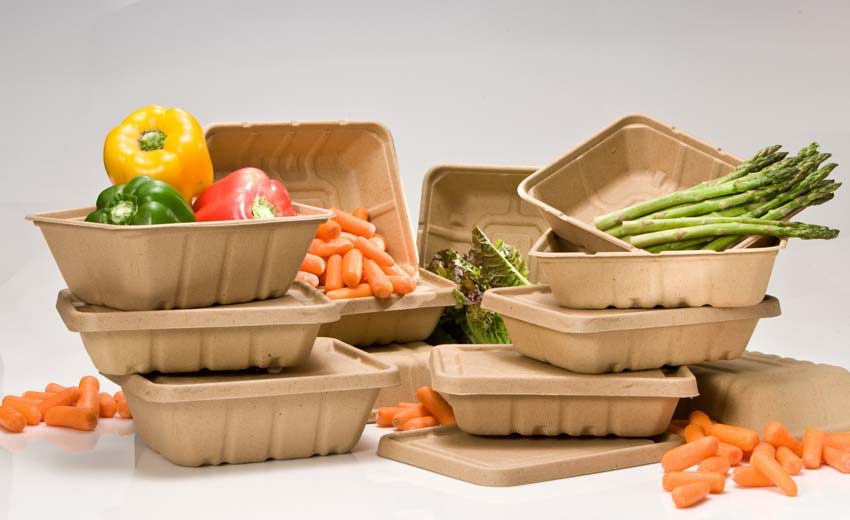Disposable vegetable dishes